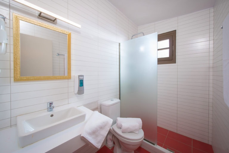 Bathroom walls tiling and floor plastering